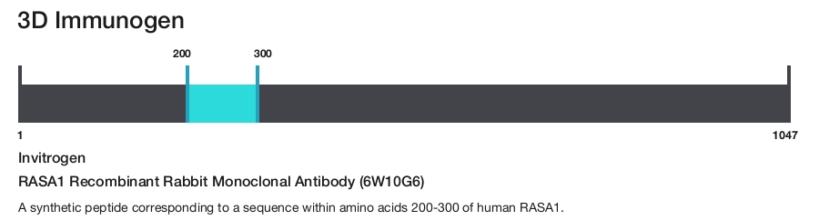 RASA1 Recombinant Rabbit Monoclonal Antibody (6W10G6)