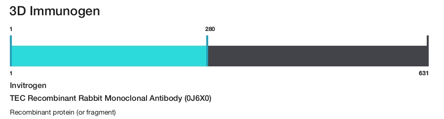TEC Recombinant Rabbit Monoclonal Antibody (0J6X0)