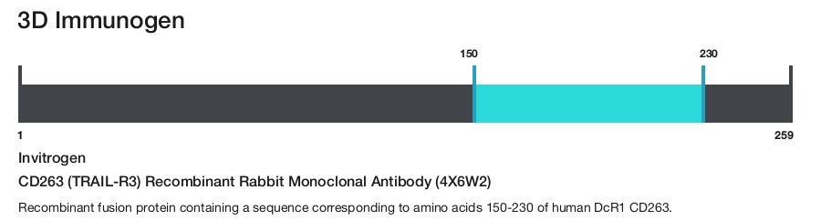 CD263 (TRAIL-R3) Recombinant Rabbit Monoclonal Antibody (4X6W2)