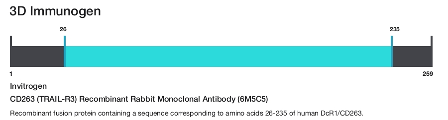 CD263 (TRAIL-R3) Recombinant Rabbit Monoclonal Antibody (6M5C5)
