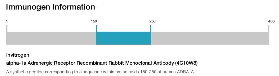 alpha-1a Adrenergic Receptor Recombinant Rabbit Monoclonal Antibody (4G10W8)