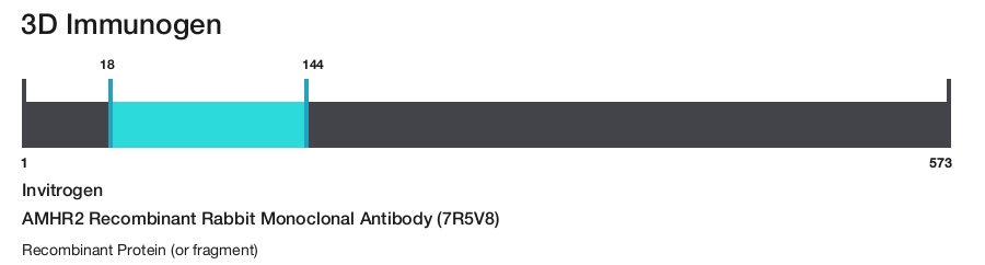 AMHR2 Recombinant Rabbit Monoclonal Antibody (7R5V8)