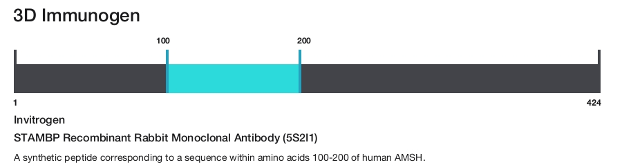 STAMBP Recombinant Rabbit Monoclonal Antibody (5S2I1)