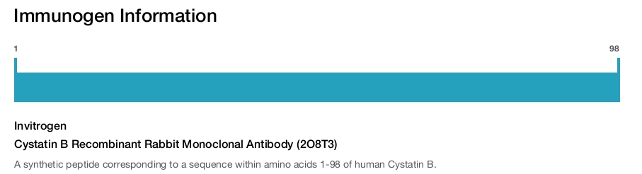 Cystatin B Recombinant Rabbit Monoclonal Antibody (2O8T3)