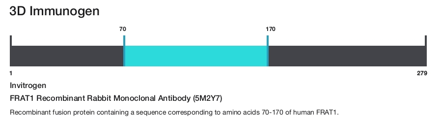 FRAT1 Recombinant Rabbit Monoclonal Antibody (5M2Y7)