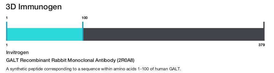 GALT Recombinant Rabbit Monoclonal Antibody (2R0A8)