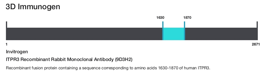 ITPR3 Recombinant Rabbit Monoclonal Antibody (9D3H2)