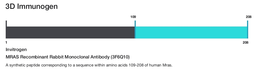MRAS Recombinant Rabbit Monoclonal Antibody (3F6Q10)
