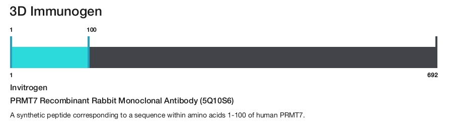 PRMT7 Recombinant Rabbit Monoclonal Antibody (5Q10S6)