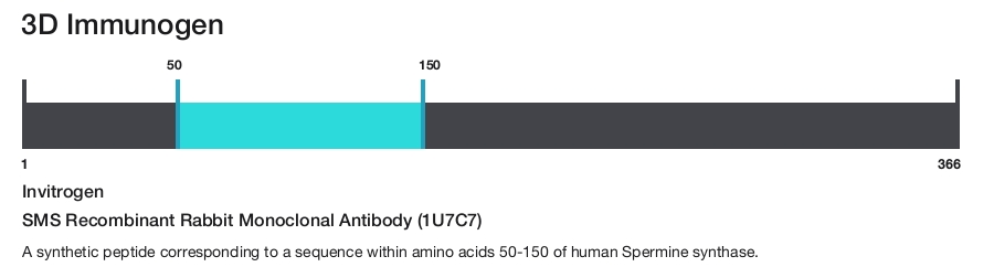 SMS Recombinant Rabbit Monoclonal Antibody (1U7C7)