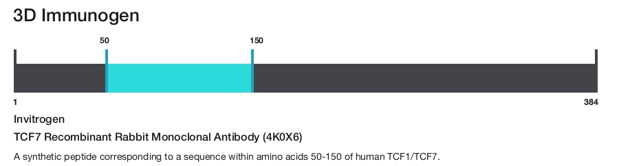 TCF7 Recombinant Rabbit Monoclonal Antibody (4K0X6)