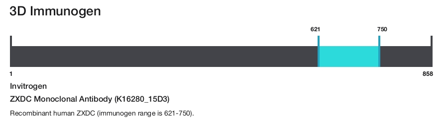 ZXDC Monoclonal Antibody (K16280_15D3)