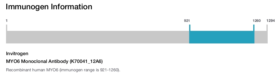MYO6 Monoclonal Antibody (K70041_12A6)