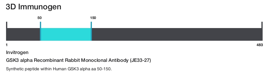 GSK3 alpha Recombinant Rabbit Monoclonal Antibody (JE33-27)