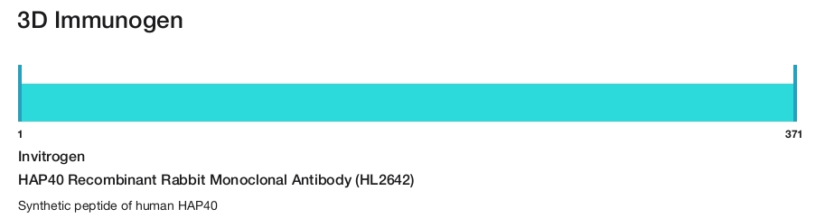HAP40 Recombinant Rabbit Monoclonal Antibody (HL2642)