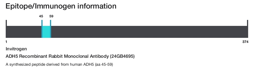 ADH5 Recombinant Rabbit Monoclonal Antibody (24GB4695)