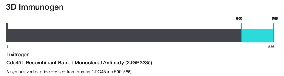 Cdc45L Recombinant Rabbit Monoclonal Antibody (24GB3335)