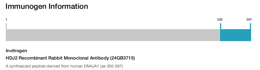 HDJ2 Recombinant Rabbit Monoclonal Antibody (24GB3715)