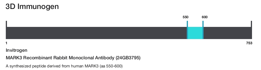 MARK3 Recombinant Rabbit Monoclonal Antibody (24GB3795)