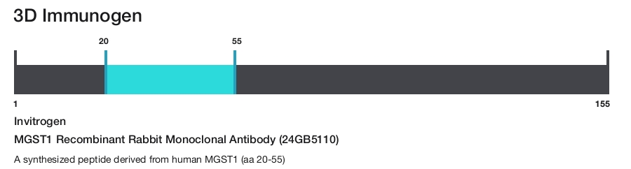 MGST1 Recombinant Rabbit Monoclonal Antibody (24GB5110)
