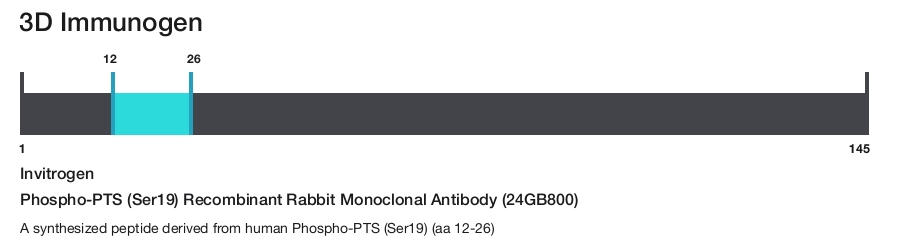 Phospho-PTS (Ser19) Recombinant Rabbit Monoclonal Antibody (24GB800)