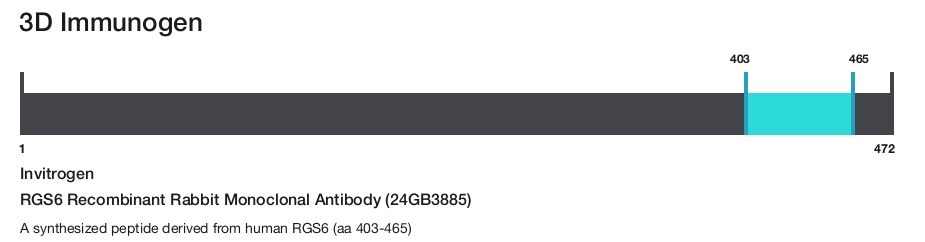 RGS6 Recombinant Rabbit Monoclonal Antibody (24GB3885)