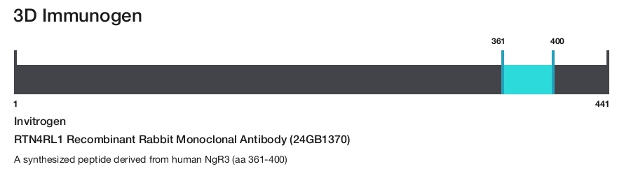 RTN4RL1 Recombinant Rabbit Monoclonal Antibody (24GB1370)