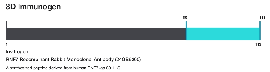 RNF7 Recombinant Rabbit Monoclonal Antibody (24GB5200)