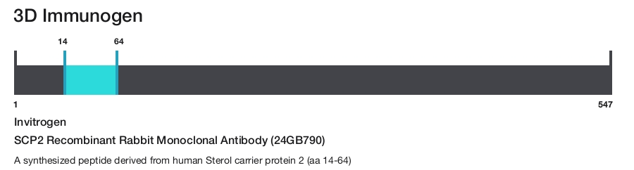 SCP2 Recombinant Rabbit Monoclonal Antibody (24GB790)