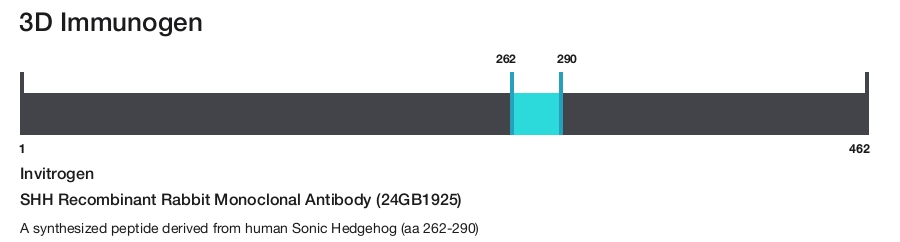 SHH Recombinant Rabbit Monoclonal Antibody (24GB1925)