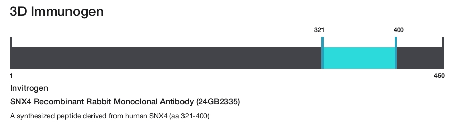 SNX4 Recombinant Rabbit Monoclonal Antibody (24GB2335)