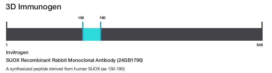 SUOX Recombinant Rabbit Monoclonal Antibody (24GB1790)