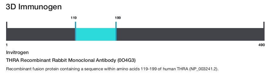 THRA Recombinant Rabbit Monoclonal Antibody (0O4G3)