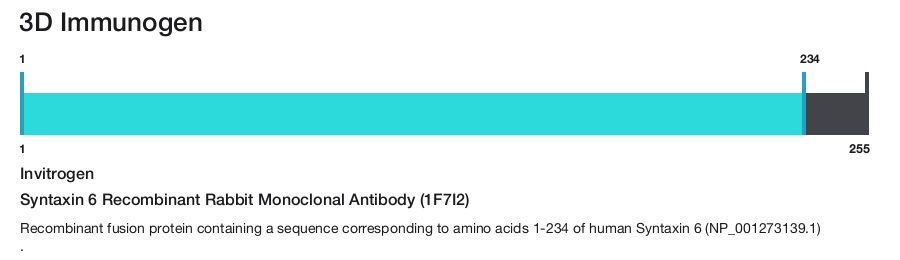 Syntaxin 6 Recombinant Rabbit Monoclonal Antibody (1F7I2)
