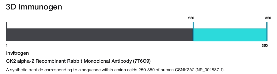 CK2 alpha-2 Recombinant Rabbit Monoclonal Antibody (7T6O9)