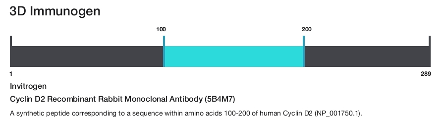 Cyclin D2 Recombinant Rabbit Monoclonal Antibody (5B4M7)