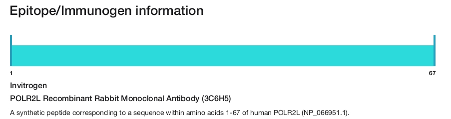 POLR2L Recombinant Rabbit Monoclonal Antibody (3C6H5)