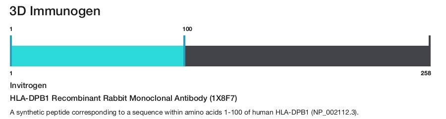 HLA-DPB1 Recombinant Rabbit Monoclonal Antibody (1X8F7)