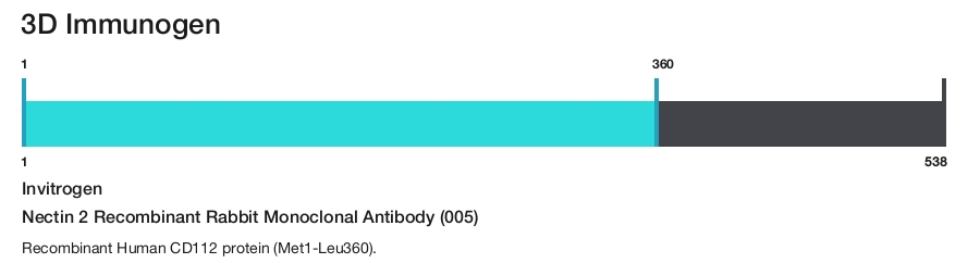 Nectin 2 Recombinant Rabbit Monoclonal Antibody (005)
