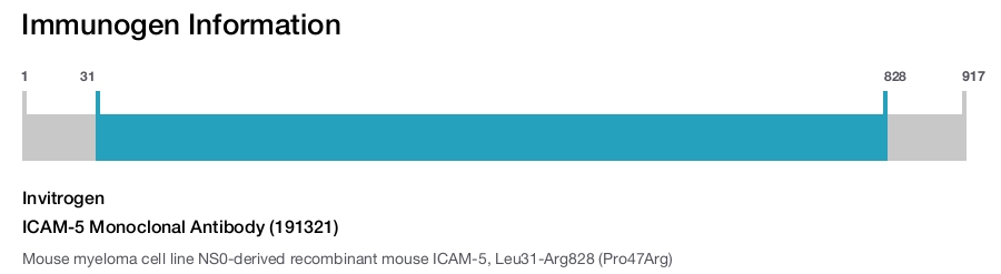 ICAM-5 Monoclonal Antibody (191321)