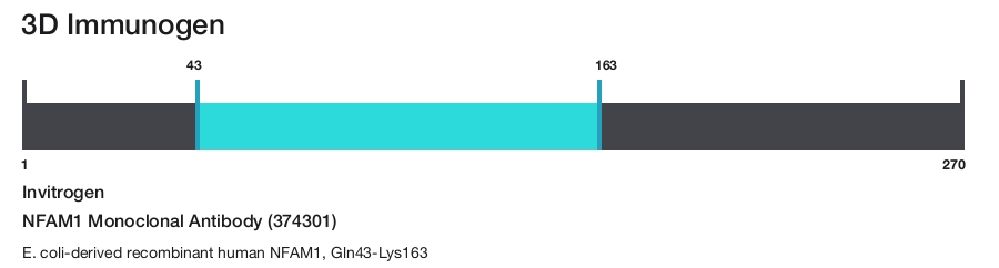 NFAM1 Monoclonal Antibody (374301)