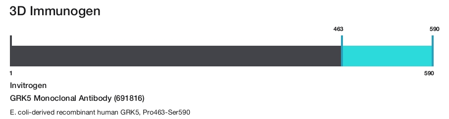 GRK5 Monoclonal Antibody (691816)