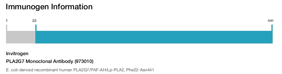 PLA2G7 Monoclonal Antibody (973010)