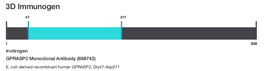 GPRASP2 Monoclonal Antibody (698742)