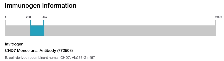 CHD7 Monoclonal Antibody (772503)