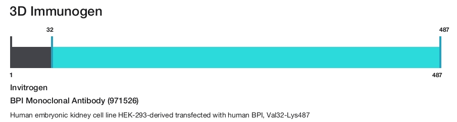BPI Monoclonal Antibody (971526)