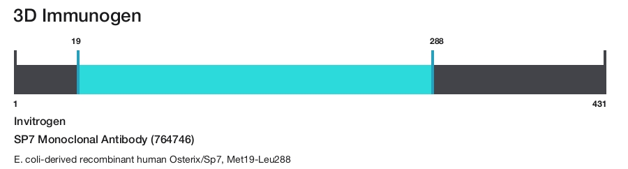 SP7 Monoclonal Antibody (764746)