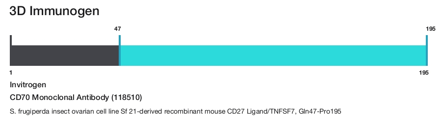 CD70 Monoclonal Antibody (118510)