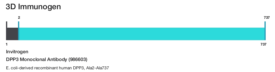 DPP3 Monoclonal Antibody (986603)