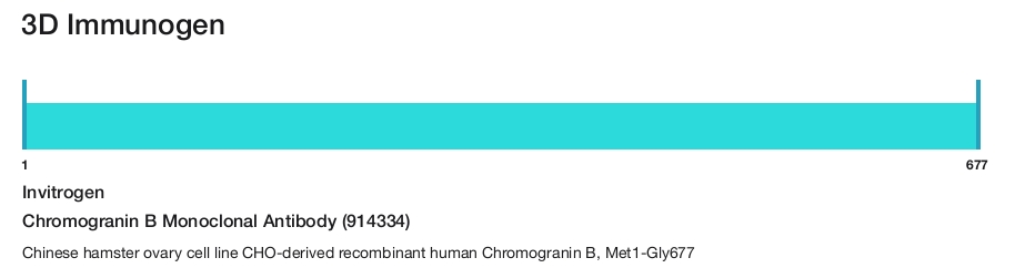 Chromogranin B Monoclonal Antibody (914334)